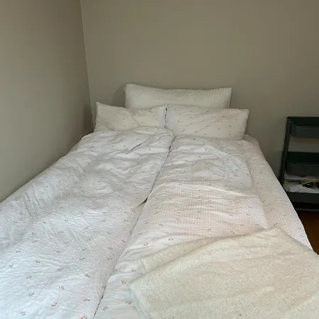 Top-floor Flat Near Ons ستافانجر